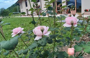 La casa di Maia - Alloggio Agrituristico - Foto 46