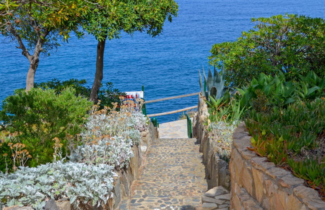 El Paraiso - Foto 25