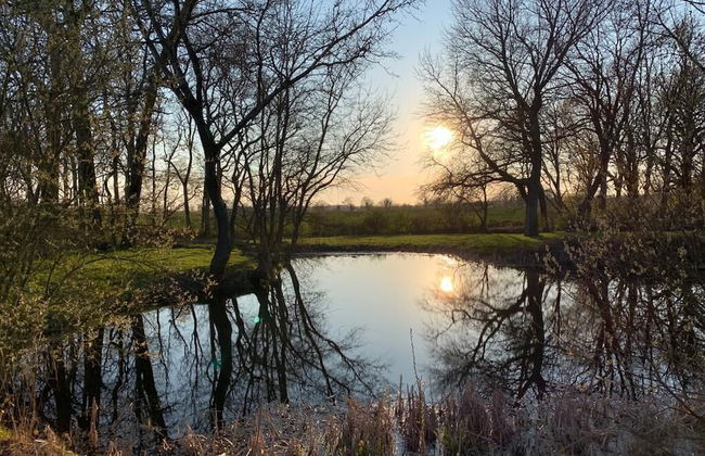 Gutshof Rothensande - Foto 34