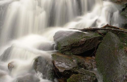 Ferienwohnung Waldstraße - Foto 44