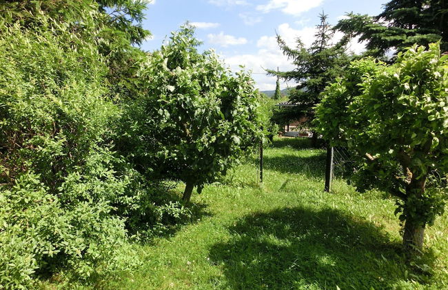 Holiday Home in Cattenstedt Harz With Garden - Foto 20