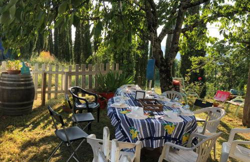 La casa dì Nonno - Foto 15