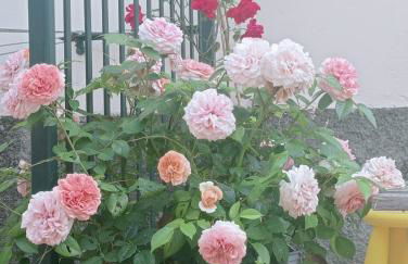 CASA L'UNICORNO con giardino privato - Foto 24