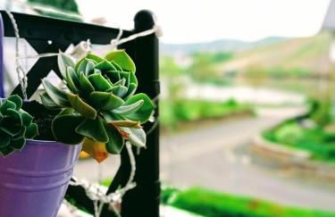 Weingut im Moselkrampen - Foto 13