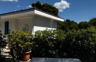 A casa di Ludo - Foto 5