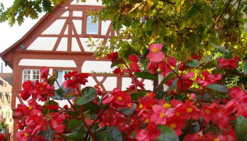 Haus Meersburg Garten - Foto 4