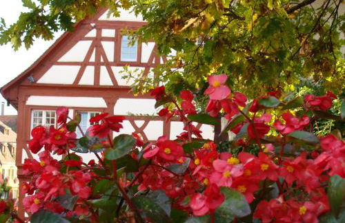 Haus Meersburg Garten - Foto 4