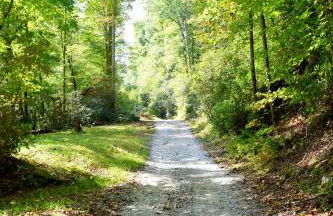 The Junction - Foto 28