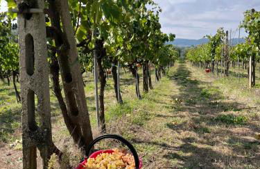 Podere Campanella - Photo 36