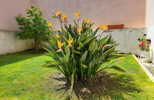 A Casa da Avó Ana - Foto 21