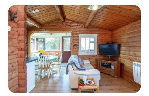 Snowdonia Escapes # TRANQUIL CABIN with Views, Wi-Fi, Dog Friendly & Parking - Foto 12