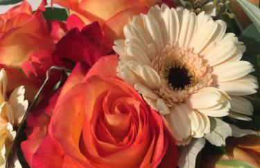 Ferienwohnungen Familie Brunner, Kreuth-Reitrain - Foto 17