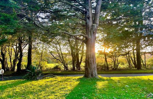 2 Bedroom Cornish Cottage For Penzance And St Ives - Foto 19