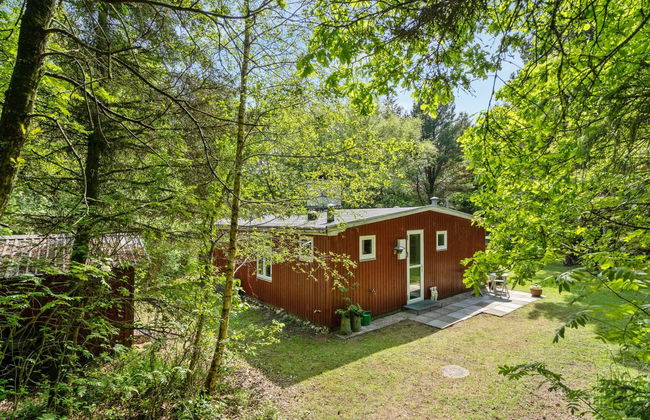 "Deik" - 2km to the fjord - Foto 17