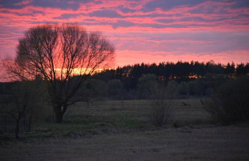 Ciche Podlasie - Foto 21
