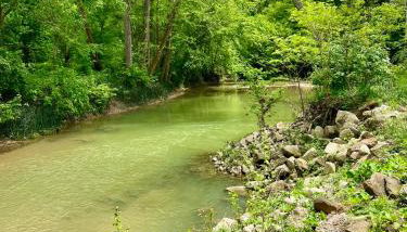 Walnut Creek Cabin - Foto 3