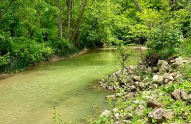 Walnut Creek Cabin - Foto 3