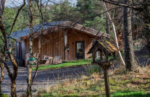 studio in the wood - Foto 17