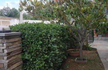 Violet Bedroom and Apartment - Photo 55