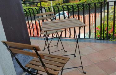 Il tulipano - Foto 13