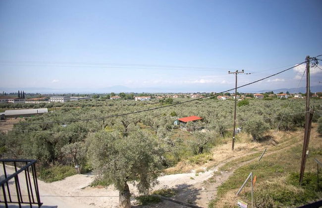 Foula House in Magnisia - Foto 23