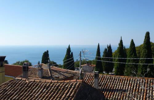 Nebojsega b&b - Foto 23