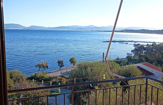 Angelica Rooms & Apartments - Photo 47