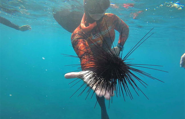 Snorkel na Costa Adeje - Foto 2