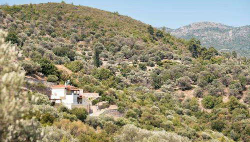 Villa Vicky - Foto 3