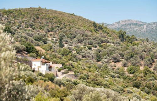 Villa Vicky - Foto 1