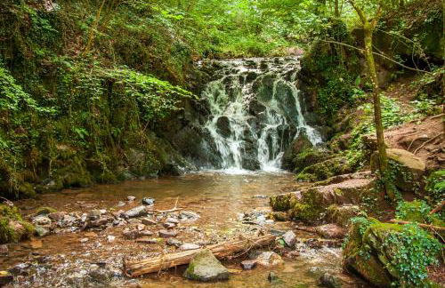 Ferienhaus-Am-Alten-Stadttor - Foto 36