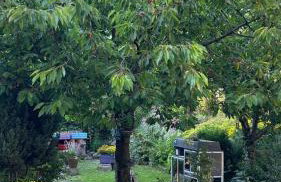 Apartament Nad Potokiem - Foto 20