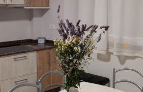 Casa Xarreiro - Foto 33