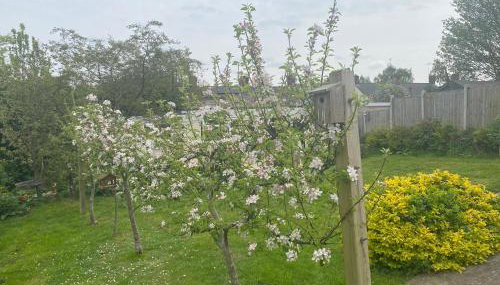 Detached Romantic Studio. - Foto 5