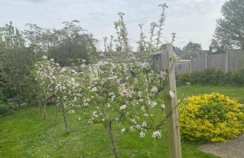 Detached Romantic Studio. - Foto 5