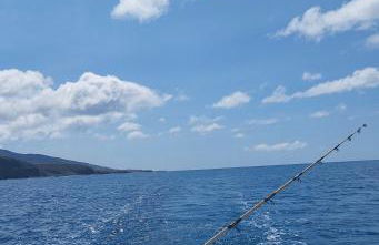 Estudio espectacular vista mar - Foto 22