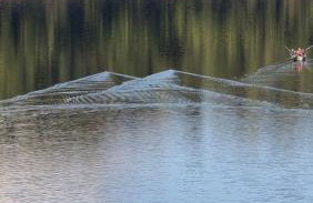 Ruhe am See - Photo 5