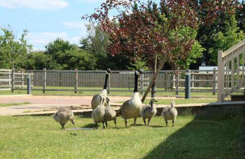 Waterside Lodges Cambridge - Foto 44