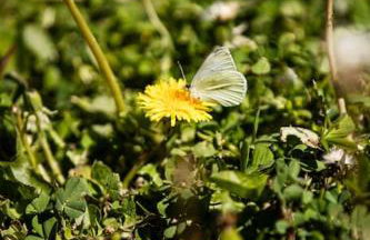 Zeusplace Magic Pool Villa - Foto 32