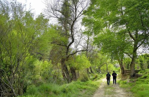 Casa Rural La Tahona - Foto 15