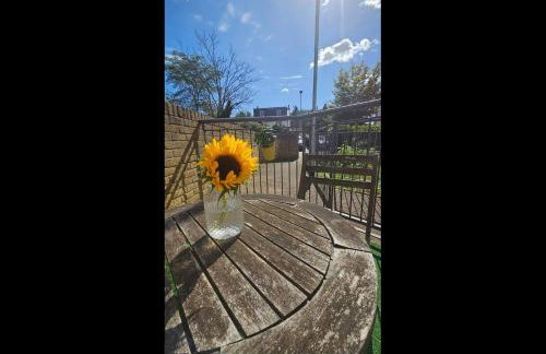 The Nest of Forest Hill - Photo 36