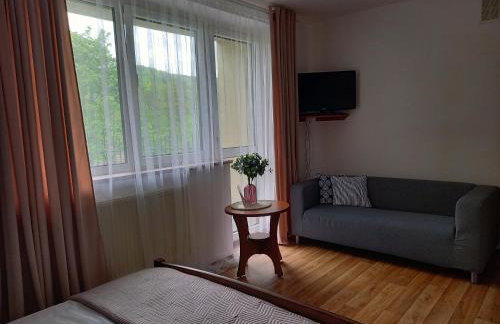 Apartamenty AGAT - Foto 18