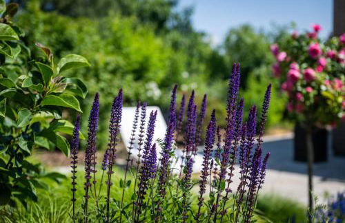 Deine Genuss-Auszeit - Foto 11