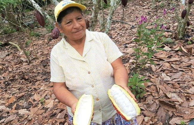 Escursione al Parco Nazionale Cajas e al Cacao de la Loma - Foto 1
