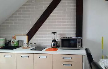 Dom wakacyjny-Czereśniowy Sad - Foto 43