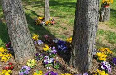 Villa OCTOPUS - Foto 51