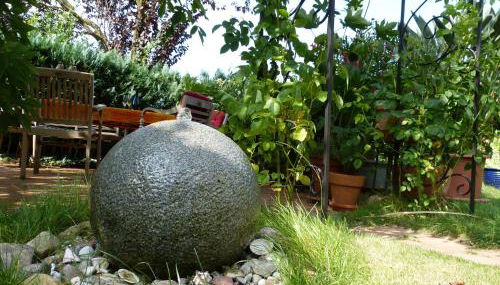 Seeadler - Ferienwohnung - Foto 2