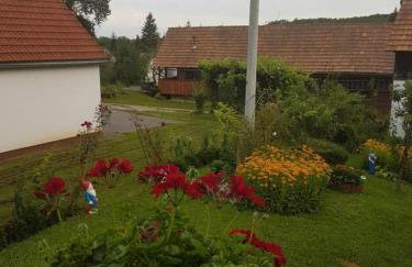 Apartments for families with children Jakovci Netreticki, Karlovac - 20495 - Photo 5