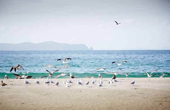 Adventure Bay Retreat - Foto 42