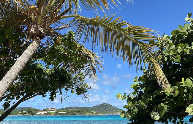 Sapphire Beach Villa - Foto 53